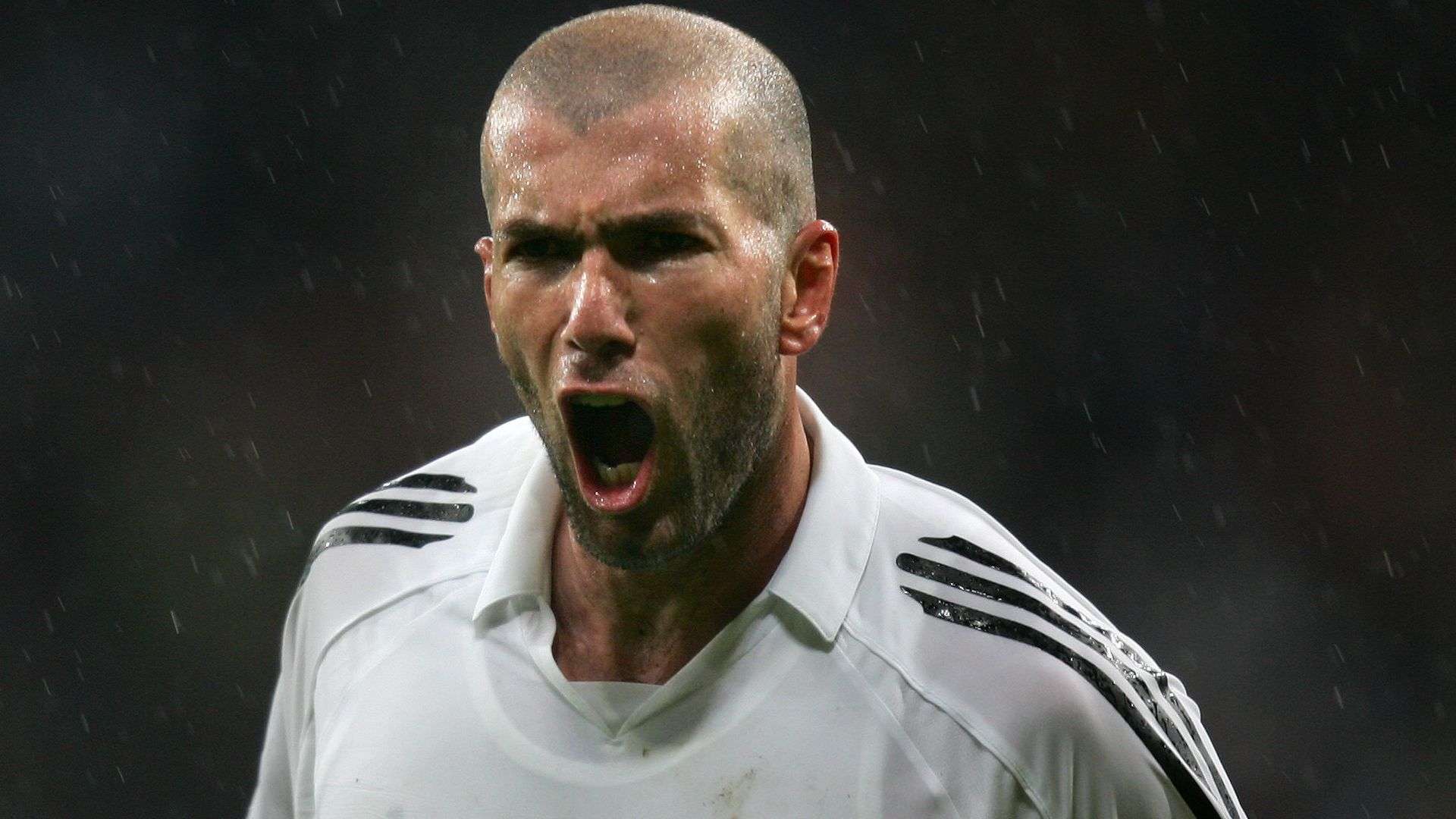 洛夫伦谈舞蹈在巴西文化中的重要性及对其理解的深度分析